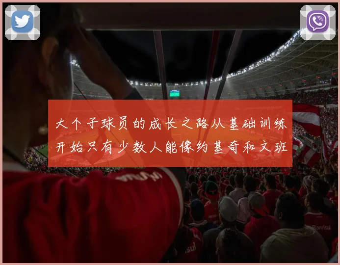 大个子球员的成长之路从基础训练开始只有少数人能像约基奇和文班那样成功