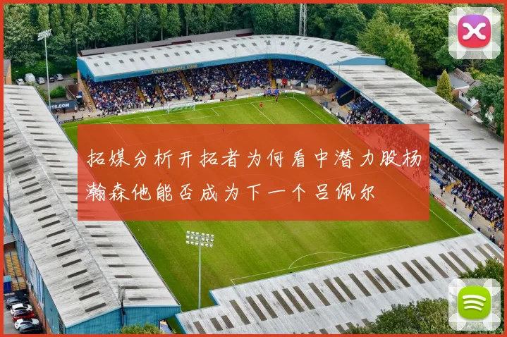 拓媒分析开拓者为何看中潜力股杨瀚森他能否成为下一个吕佩尔